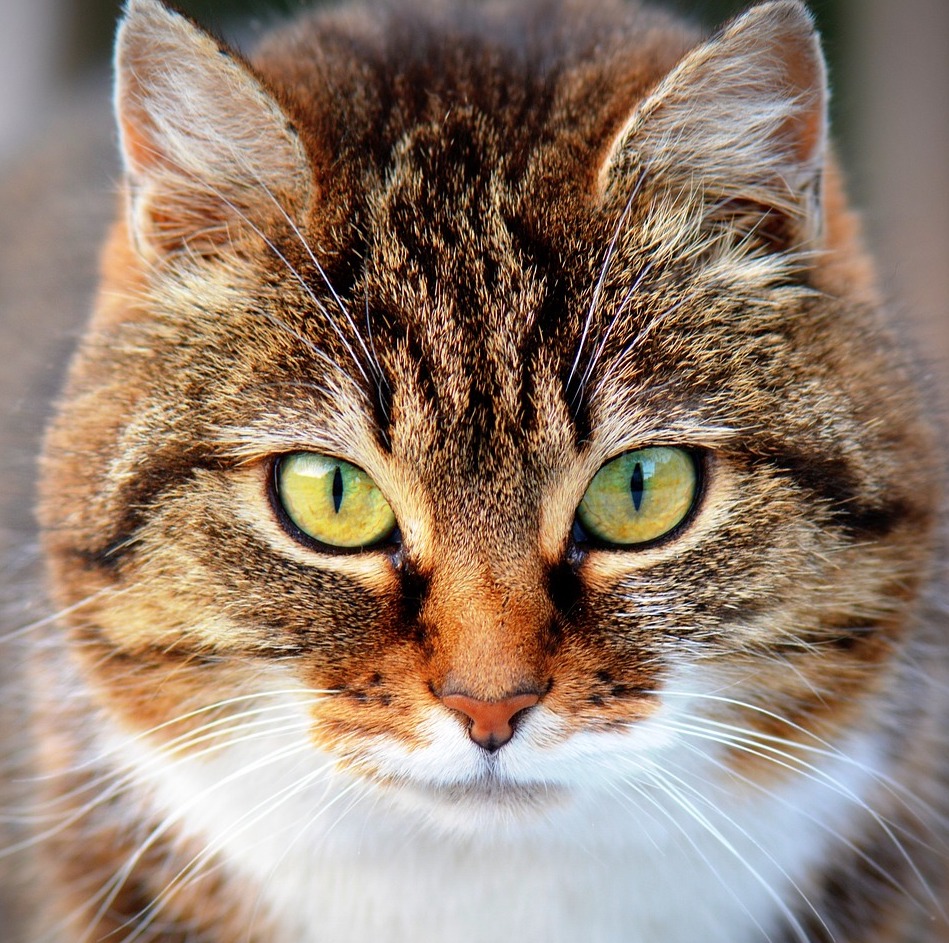 mary stand in photo.jpg